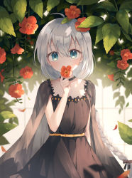 Rule 34 | 1girl, ahoge, arm at side, bare arms, black cape, black dress, black ribbon, blue eyes, blush, braid, braided ponytail, cape, choker, covered mouth, dappled sunlight, day, dress, flower, flower over mouth, hair between eyes, hair ribbon, hand up, highres, holding, holding flower, long hair, looking at viewer, original, petals, plant, ribbon, sash, see-through, silver hair, single braid, solo, spi, standing, sunlight, trumpet creeper, upper body