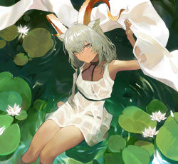 Rule 34 | 1girl, animal ears, arknights, arm up, armpits, beeswax (arknights), blush, closed mouth, collarbone, commentary request, dark-skinned female, dark skin, dress, expressionless, flower, from above, holding, horns, koio, lily pad, long hair, looking at viewer, looking up, low twintails, ripples, see-through, shawl, silver hair, sitting, sleeveless, sleeveless dress, soaking feet, solo, twintails, water, wet, wet clothes, wet dress, white dress, white flower