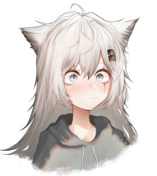 Rule 34 | 1girl, animal ears, arknights, blush, closed mouth, commentary request, cropped torso, grey eyes, grey jacket, hair ornament, hairclip, high collar, hood, hood down, hooded jacket, jacket, korean commentary, lappland (arknights), long hair, looking away, runamonet, scar, scar across eye, scar on face, silver hair, simple background, solo, upper body, white background, wolf ears, wolf girl