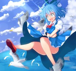 Rule 34 | 1girl, bird, blue eyes, blue hair, bow, cirno, clothes lift, cloud, day, falling, hair bow, mary janes, matching hair/eyes, midriff, ocean, open mouth, puffy sleeves, red footwear, ribbon, sansai (age3joe), shoes, short sleeves, skirt, skirt lift, skirt tug, sky, solo, touhou