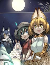 Rule 34 | 10s, 4girls, :d, animal ears, arctic hare (kemono friends), bare shoulders, black gloves, black hair, black jacket, black necktie, blonde hair, blue eyes, bow, bowtie, dango, elbow gloves, extra ears, food, full moon, fur collar, gloves, grey wolf (kemono friends), hair between eyes, hands on lap, hat, hat feather, heterochromia, high-waist skirt, holding, holding food, jacket, kaban (kemono friends), kemono friends, long hair, long sleeves, looking up, lucky beast (kemono friends), moon, multicolored hair, multiple girls, necktie, night, night sky, open mouth, print bow, print bowtie, print gloves, print neckwear, print skirt, rabbit ears, red eyes, red shirt, serval (kemono friends), serval print, shirt, short hair, short sleeves, skirt, sky, sleeveless, smile, star (sky), susuki grass, thighhighs, tsukasawa takamatsu, tsukimi, wagashi, wavy hair, white hair, white shirt, wolf ears, yellow eyes