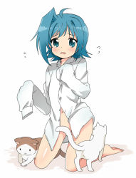 Rule 34 | 10s, 1boy, :3, ahoge, androgynous, bad id, bad pixiv id, blue eyes, blue hair, blush, bottomless, cardfight!! vanguard, cat, censored, chawanmushi (ebikamaboko), convenient censoring, full body, long sleeves, male focus, naked shirt, navel, open mouth, sendou aichi, shirt, simple background, sleeves past wrists, trap, white background