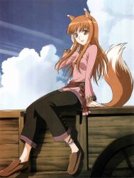 Rule 34 | 00s, 1girl, absurdres, animal ears, anklet, brown hair, cloud, day, highres, holo, jewelry, long hair, no socks, official art, red eyes, scan, scan artifacts, sitting, sky, solo, spice and wolf, tail, wolf ears, wolf tail
