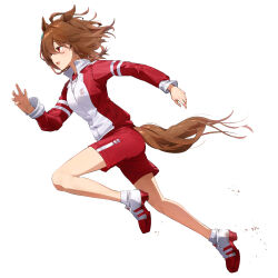 Rule 34 | 1girl, absurdres, agnes tachyon (umamusume), ahoge, animal ears, breasts, brown hair, full body, gym uniform, highres, horse ears, horse girl, horse tail, jacket, legs, long sleeves, medium hair, open clothes, open jacket, open mouth, red eyes, red shorts, running, shirt, shoes, shorts, simple background, small breasts, smile, sneakers, solo, tail, tracen training uniform, track jacket, umamusume, white background, white shirt, yanyo (ogino atsuki)