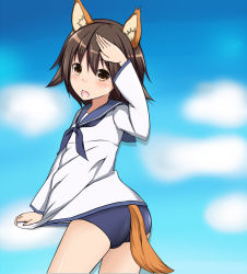 Rule 34 | 1girl, animal ears, artist request, ass, blush, brown hair, dog ears, dog tail, flat chest, looking at viewer, miyafuji yoshika, open mouth, sailor, salute, school swimsuit, short hair, smile, strike witches, swimsuit, tail, world witches series, yellow eyes
