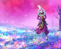 Rule 34 | 10s, 1boy, arms behind back, artist name, bad id, bad pixiv id, blue flower, dragon ball, dragon ball super, egyptian clothes, field, floating, flower, grass, kim yura (goddess mechanic), light smile, looking away, male focus, nature, orange flower, outdoors, petals, pink flower, pink sky, purple flower, sky, solo, tree, whis, white flower, white hair, wind, wind lift, yellow flower