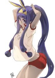 Rule 34 | animal ears, arms up, ass, blunt bangs, breasts, buruma, contrapposto, cowboy shot, dark-skinned female, dark skin, fate/grand order, fate (series), gym uniform, hair tubes, hairband, leaning forward, long hair, looking at viewer, medium breasts, mouth hold, nitocris (fate), ponytail, purple eyes, purple hair, see-through silhouette, sidelocks, simple background, solo, standing, tooya daisuke, tying hair, very long hair, white background