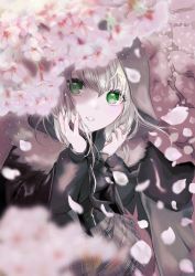 Rule 34 | 1girl, blurry, blurry foreground, cherry blossoms, fate (series), floating hair, gray (fate), green eyes, grey skirt, grey sweater, hair between eyes, highres, hood, hood up, hooded sweater, long sleeves, looking at viewer, lord el-melloi ii case files, maru (pjnh8882), medium hair, miniskirt, parted lips, plaid, plaid skirt, pleated skirt, skirt, solo, sweater, white hair