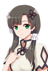 Rule 34 | 1girl, akizuki taiga, arm at side, arm cutout, assault lily, black choker, black hair, blunt bangs, choker, clothing cutout, commentary request, flower, flower knot, green eyes, hair flower, hair ornament, hair over shoulder, hair scrunchie, hand on own chest, hand up, long hair, looking at viewer, low ponytail, parted lips, scrunchie, shirt, short sleeves, side ponytail, simple background, solo, tassel, tassel hair ornament, upper body, wang yujia, white background, white flower, white scrunchie, white shirt