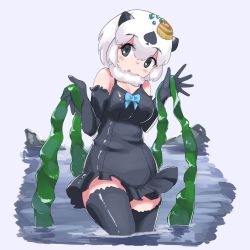 Rule 34 | 1girl, absurdres, animal ears, bare shoulders, black gloves, black hair, black one-piece swimsuit, black thighhighs, blue bow, blue bowtie, blush, bow, bowtie, californian sea otter (kemono friends), commentary request, elbow gloves, frilled swimsuit, frills, fur collar, gloves, grey eyes, highres, iwa (iwafish), kemono friends, looking at viewer, multicolored hair, one-piece swimsuit, otter ears, otter girl, seaweed, shell hair ornament, short hair, sleeveless, solo, spaghetti strap, swimsuit, thighhighs, two-tone hair, wading, water, white fur, white hair, zettai ryouiki