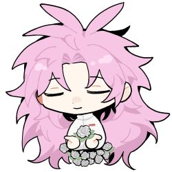 Rule 34 | 1boy, chibi, chinese commentary, closed eyes, closed mouth, commentary request, flower, hatsutori hajime, long hair, long sleeves, male focus, parted bangs, pink hair, rose, saibou shinkyoku, shirt, simple background, smile, solo, spoilers, white background, white flower, white rose, white shirt, xiaoyuweiliang