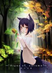 Rule 34 | 1girl, absurdres, animal ear fluff, animal ears, autumn leaves, bare shoulders, black hair, blouse, blush, english text, flower, forest, fox ears, fox tail, highres, holding, holding flower, looking at viewer, mayogii, nature, off shoulder, open clothes, open mouth, original, profile, red eyes, shirt, short hair, solo, sunflower, tail, white shirt, wilted flower