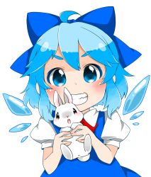 Rule 34 | 1girl, ahoge, bad id, bad pixiv id, berry jou, blue dress, blue eyes, blue hair, bow, rabbit, cirno, dress, grin, hair bow, highres, ice, ice wings, looking at viewer, matching hair/eyes, puffy short sleeves, puffy sleeves, shirt, short sleeves, smile, solo, touhou, upper body, wings
