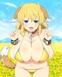 Rule 34 | 1girl, animal ears, bikini, blonde hair, breasts, cleavage, collar, collarbone, day, dog ears, dog tail, fang, field, flower, flower field, heterochromia, highres, looking at viewer, navel, open mouth, ryouna (senran kagura), senran kagura, senran kagura peach ball, swimsuit, tail, yellow bikini