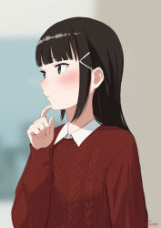 Rule 34 | 1girl, bad id, bad pixiv id, black hair, blunt bangs, blurry, blurry background, blush, closed mouth, depth of field, fingernails, green eyes, hair ornament, hairclip, hand up, highres, kurosawa dia, long hair, long sleeves, looking away, looking to the side, love live!, love live! school idol festival, love live! sunshine!!, papi (papiron100), red sweater, ribbed sweater, scratching cheek, sidelocks, signature, solo, sweater, upper body, wing collar