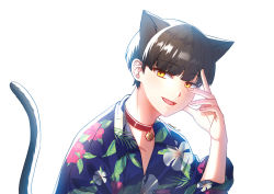 Rule 34 | 1boy, :d, animal ears, bad id, bad pixiv id, bell, black choker, black hair, blue shirt, cat boy, cat ears, cat tail, choker, collared shirt, commission, dress shirt, floral print, hand up, jingle bell, long sleeves, looking at viewer, male focus, mamel 27, neck bell, open mouth, original, print shirt, shirt, simple background, smile, solo, tail, twitter username, white background, yellow eyes