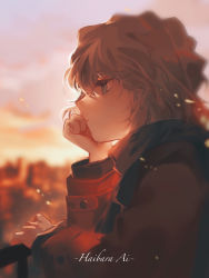 Rule 34 | 1girl, blue eyes, blurry, blurry background, brown coat, brown hair, character name, closed mouth, coat, dusk, from side, haibara ai, head rest, highres, long sleeves, meitantei conan, ny iei, outdoors, scarf, short hair, solo, upper body