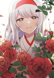 Rule 34 | 1girl, anbutter siruko, blush, closed mouth, flower, hair between eyes, hairband, hakama, headband, highres, japanese clothes, kantai collection, lips, long hair, red flower, red headband, red rose, rose, shoukaku (kancolle), smile, solo, upper body, white background, white hair, yellow eyes