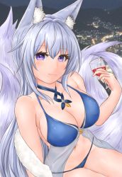 Rule 34 | 1girl, absurdres, animal ear fluff, animal ears, azur lane, blue collar, collar, cover (cover re), cup, drinking glass, fox, hair between eyes, highres, holding, holding cup, kitsune, kyuubi, large tail, multiple tails, purple eyes, see-through, shinano (azur lane), shinano (dreams of the hazy moon) (azur lane), silver hair, solo, tail, white tail, wine glass