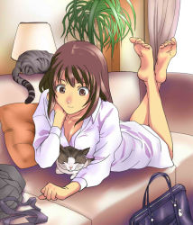 Rule 34 | 1girl, animal, bag, barefoot, blush, breasts, brown eyes, brown hair, cat, cleavage, collarbone, couch, curtains, desk lamp, feet up, indoors, lamp, long sleeves, looking at viewer, lying, medium breasts, on stomach, original, plant, plantar flexion, potted plant, robe, school bag, shirt, short hair, smile, soles, solo, the pose, toes, white shirt