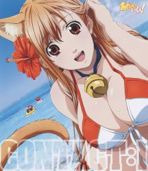 Rule 34 | 1girl, adjusting hair, animal ears, asobi ni iku yo!, assist-a-roid, assistaroid, beach, bell, bikini, breasts, cat ears, cat tail, cleavage, day, eris (asobi ni iku yo!), flower, front-tie top, hair flower, hair ornament, hand in own hair, hibiscus, highres, jingle bell, large breasts, official art, open mouth, red eyes, solo, swimsuit, tail
