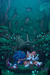 Rule 34 | 2boys, absurdres, animal ears, blue fur, bug, butterfly, digimin, firefly, forest, fox, fox ears, fox tail, furry, furry male, glass, gloves, hedgehog, hedgehog ears, highres, insect, light particles, looking to the side, multiple boys, nature, night, night sky, rock, shoes, sky, sleeping, smile, sonic (series), sonic the hedgehog, sonic the hedgehog (idw), tail, tails (sonic), tree, white gloves, yellow fur