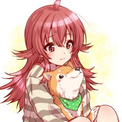 Rule 34 | 1girl, animal, animal on lap, blush, closed mouth, dog, highres, idolmaster, idolmaster shiny colors, komiya kaho, kuroi mimei, long hair, long sleeves, looking at another, looking down, mamemaru (shiny colors), on lap, red eyes, red hair, scarf, shiba inu, shirt, sitting, smile, striped clothes, striped shirt, upper body