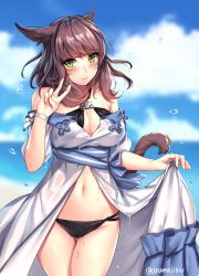 Rule 34 | 10s, 1girl, animal ears, aruma jiki, bare shoulders, bikini, black bikini, blush, breasts, brown hair, cat ears, cat tail, cleavage, closed mouth, cloud, cloudy sky, commentary request, crossed legs, day, dress, facial mark, final fantasy, final fantasy xiv, green eyes, long hair, looking at viewer, medium breasts, miqo&#039;te, navel, open clothes, open dress, outdoors, skirt hold, sky, smile, solo, standing, stomach, strapless, strapless dress, swimsuit, tail, twitter username, v, warrior of light (ff14), water drop, wet, wet clothes