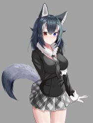 Rule 34 | 1girl, absurdres, animal ear fluff, animal ears, black hair, blue eyes, blush, breast hold, breasts, chun bae, fur collar, gloves, grey background, grey wolf (kemono friends), heterochromia, highres, kemono friends, large breasts, looking at viewer, miniskirt, multicolored hair, necktie, simple background, skirt, solo, tail, two-tone hair, white gloves, white hair, wolf ears, wolf girl, wolf tail, yellow eyes