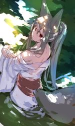 Rule 34 | 1girl, absurdres, animal ear fluff, animal ears, bare shoulders, closed mouth, commentary request, fox ears, fox girl, fox tail, grey hair, hair between eyes, highres, japanese clothes, kimono, long hair, long sleeves, looking at viewer, looking back, obi, off shoulder, original, ponytail, red eyes, sash, signature, sketch, solo, tail, very long hair, white kimono, wide sleeves, yuuji (yukimimi)