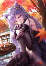 Rule 34 | 1girl, alternate costume, autumn leaves, black dress, black gloves, black thighhighs, blurry, blurry foreground, braid, closed mouth, cone hair bun, cup, day, double bun, dress, falling leaves, garter straps, genshin impact, gloves, hair bun, highres, keqing (genshin impact), knee up, leaf, long hair, looking at viewer, maple leaf, otabaaa, pink eyes, purple hair, revision, saucer, single glove, sitting, sleeveless, sleeveless dress, smile, solo, teacup, thighhighs, tree, twintails