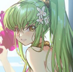 Rule 34 | 1girl, bare back, bare shoulders, blush, breasts, brown hairband, c.c., cleavage, clenched teeth, code geass, creayus, flower, green hair, gun, hairband, holding, holding gun, holding weapon, long bangs, long hair, looking at viewer, ponytail, simple background, small breasts, solo, teeth, water drop, weapon, white flower, yellow eyes