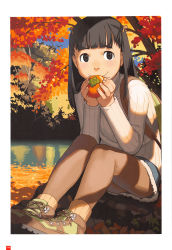 Rule 34 | 1girl, autumn, autumn leaves, backpack, bag, bare legs, black eyes, black hair, blunt bangs, border, cross-laced footwear, food, fruit, hair ribbon, highres, holding, holding food, holding fruit, lake, legs together, long hair, long sleeves, looking at viewer, miniskirt, nature, on ground, original, outdoors, page number, pantyhose, persimmon, ribbed legwear, ribbed sweater, ribbon, scan, shoes, sitting, skirt, smile, sneakers, socks, solo, sweater, takamichi, tree, turtleneck, w arms, white border