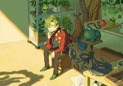 Rule 34 | 1boy, basket, brassius (pokemon), closed mouth, commentary request, creatures (company), faucet, game freak, gen 2 pokemon, gen 5 pokemon, glass, green footwear, green hair, hand on own chin, hand up, highres, indoors, jacket, long sleeves, male focus, nintendo, pants, petilil, pokemon, pokemon (creature), pokemon sv, red jacket, shadow, shoes, short hair, sitting, smoliv, stroking own chin, sudowoodo, sumika inagaki, table, thinking, whip