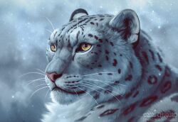 Rule 34 | animal focus, artist name, blurry, blurry background, chiakiroart, dated, depth of field, deviantart username, looking to the side, no humans, original, portrait, snow leopard, solo, watermark, web address