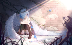 Rule 34 | 1girl, angel, angel wings, bare shoulders, barefoot, bird, black thighhighs, blue eyes, blue hair, breasts, chiya 1589505970, cleavage, closed mouth, fallen angel, feathered wings, feathers, hair over one eye, hand on own knee, highres, knees up, looking away, no shoes, one eye covered, original, shadow, short hair, sitting, small breasts, solo, sunlight, thighhighs, thighs, white wings, wings