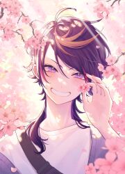 Rule 34 | 1boy, absurdres, ahoge, black hair, blonde hair, blurry, blurry background, blurry foreground, blush, branch, cardigan, cherry blossoms, commentary, english commentary, eyelashes, falling petals, fingernails, flower, grin, hair between eyes, hand up, highres, holding, holding flower, light particles, light rays, long fingernails, long hair, looking at viewer, male focus, mochigome (yum), multicolored hair, nail polish, nijisanji, nijisanji en, off shoulder, open cardigan, open clothes, parted bangs, petals, pink flower, pink hair, purple cardigan, purple eyes, purple hair, red nails, shirt, shu yamino, sidelocks, smile, solo, streaked hair, swept bangs, teeth, upper body, v-shaped eyebrows, virtual youtuber, white shirt