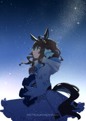 Rule 34 | 1girl, ahoge, animal ears, blue jacket, blue ribbon, blue skirt, brown hair, clenched hand, cocoloco, commentary, cowboy shot, daring tact (umamusume), dated, from side, hair ornament, hair ribbon, hand on own chest, hood, hooded jacket, horse ears, horse girl, horse tail, jacket, light particles, looking up, night, night sky, profile, ribbon, short hair, sidelocks, skirt, sky, solo, star (sky), starry sky, symbol-only commentary, tail, twitter username, umamusume, wavy hair