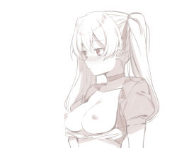 Rule 34 | 1girl, 2l (2lsize), blush, breasts, breasts out, closed mouth, from side, greyscale, hair between eyes, long hair, looking to the side, maid, medium breasts, monochrome, nipples, nose blush, original, short sleeves, simple background, solo, twintails, upper body
