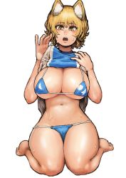 Rule 34 | 1girl, absurdres, animal ear fluff, animal ears, bare arms, bare legs, barefoot, bikini, bikini under clothes, blonde hair, blue bikini, breasts, brown eyes, chanta (ayatakaoisii), clothes lift, fox ears, full body, hands up, highres, large breasts, lifting own clothes, looking at viewer, navel, no tail, open mouth, seiza, shirt, short hair, simple background, sitting, slit pupils, solo, stomach, sweat, swimsuit, tabard, touhou, white background, yakumo ran