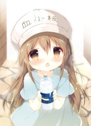 Rule 34 | 10s, 1girl, :o, artist name, blue shirt, blush, bottle, brown eyes, brown hair, character name, clothes writing, commentary request, day, flat cap, hair between eyes, hat, hataraku saibou, holding, holding bottle, long hair, looking at viewer, open mouth, outdoors, platelet (hataraku saibou), shiratama (shiratamaco), shirt, short sleeves, signature, solo, standing, sweat, very long hair, water bottle, white hat