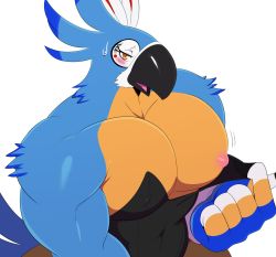 Rule 34 | 1boy, beak, bird, blush, brown eyes, eric lowery, highres, kass, male focus, nintendo, nipples, open mouth, rito, simple background, solo, sweat, sweatdrop, the legend of zelda, the legend of zelda: breath of the wild, white background