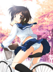 Rule 34 | 00s, 1girl, 2006, artist name, ass, bicycle, black socks, blouse, blue panties, blue skirt, blush, bread, bread slice, briefcase, brown eyes, brown hair, dated, eating, emily (pure dream), food, food in mouth, from behind, kneehighs, lens flare, long sleeves, looking at viewer, looking back, mouth hold, original, outdoors, panties, pantyshot, pleated skirt, school briefcase, school uniform, serafuku, shirt, short hair, sitting, skirt, socks, solo, striped clothes, striped panties, toast, toast in mouth, underwear, upskirt, white shirt, wind, wind lift