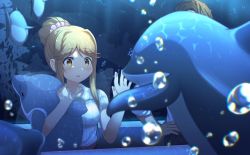 Rule 34 | 1girl, aquarium, blush, bubble, commentary, dolphin, dress, fish, gyorui (katsuwo drawing), hair bun, hair up, hand on glass, hands against glass, highres, holding, holding stuffed toy, idolmaster, idolmaster million live!, indoors, light brown hair, looking at animal, parted lips, puffy short sleeves, puffy sleeves, short sleeves, sidelocks, single hair bun, solo, stuffed animal, stuffed dolphin, stuffed toy, tenkuubashi tomoka, through window, upper body, white dress, yellow eyes