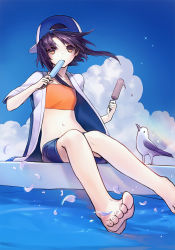 Rule 34 | 1girl, ainy, backwards hat, bad id, bad pixiv id, barefoot, baseball cap, bird, brown eyes, cloud, day, eating, feet, floating hair, food, gradient background, hat, holding, looking at viewer, navel, outdoors, petals, popsicle, purple hair, seagull, short hair, short hair with long locks, shorts, sita vilosa, sitting, sky, solo, sword girls, water