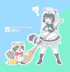 Rule 34 | 10s, 1girl, ?, alternate costume, animal ears, apron, back bow, black hair, bow, bowtie, broom, character request, commentary request, common raccoon (kemono friends), copyright request, dress, elbow gloves, enmaided, fangs, frilled skirt, frills, fur collar, gloves, grey hair, kemono friends, maid, maid apron, maid headdress, mitsumoto jouji, multicolored hair, open mouth, pantyhose, puffy short sleeves, puffy sleeves, raccoon ears, raccoon tail, short hair, short sleeves, skirt, socks, tail, translation request