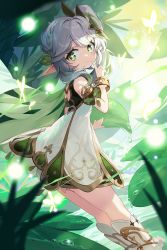 Rule 34 | 1girl, bare shoulders, blush, bracelet, braid, breasts, bug, butterfly, cape, crown braid, detached sleeves, dress, forest, genshin impact, goomrrat, gradient hair, grass, green cape, green eyes, green hair, hair ornament, highres, index finger raised, insect, jewelry, leaf, leaf hair ornament, long hair, looking at viewer, looking back, multicolored hair, nahida (genshin impact), nature, pointy ears, side ponytail, sidelocks, sleeveless, sleeveless dress, small breasts, smile, solo, symbol-shaped pupils, thighs, white dress, white hair