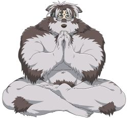 Rule 34 | 1boy, abs, ainu clothes, animal ears, bara, chest hair, completely nude, cross scar, crossed legs, closed eyes, full body, furry, furry male, grey fur, grey hair, headband, horkeu kamui, male focus, muscular, muscular male, navel, nude, own hands together, palms together, pectorals, praying, rossciaco, scar, short hair, solo, stomach, tokyo houkago summoners, two-tone fur, white background, white fur, wolf boy, wolf ears, yellow eyes