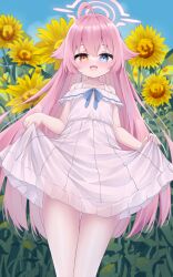 Rule 34 | 1girl, absurdres, ahoge, blue archive, blue eyes, blush, collarbone, cowboy shot, dress, flower, hair between eyes, heterochromia, highres, hoshino (blue archive), kianata, long hair, looking at viewer, official alternate costume, open mouth, pink hair, smile, solo, sunflower, white dress, yellow eyes, yellow flower
