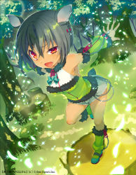 Rule 34 | 1girl, animal ears, bare shoulders, black hair, boots, chain, cutoffs, dark skin, dark-skinned female, detached sleeves, earrings, fang, foreshortening, forest, from above, fur trim, hair between eyes, jewelry, knee boots, namanie, nature, official art, outstretched arms, red eyes, short hair, short shorts, shorts, smile, solo, spread arms, tail, tenka touitsu chronicle, zipper